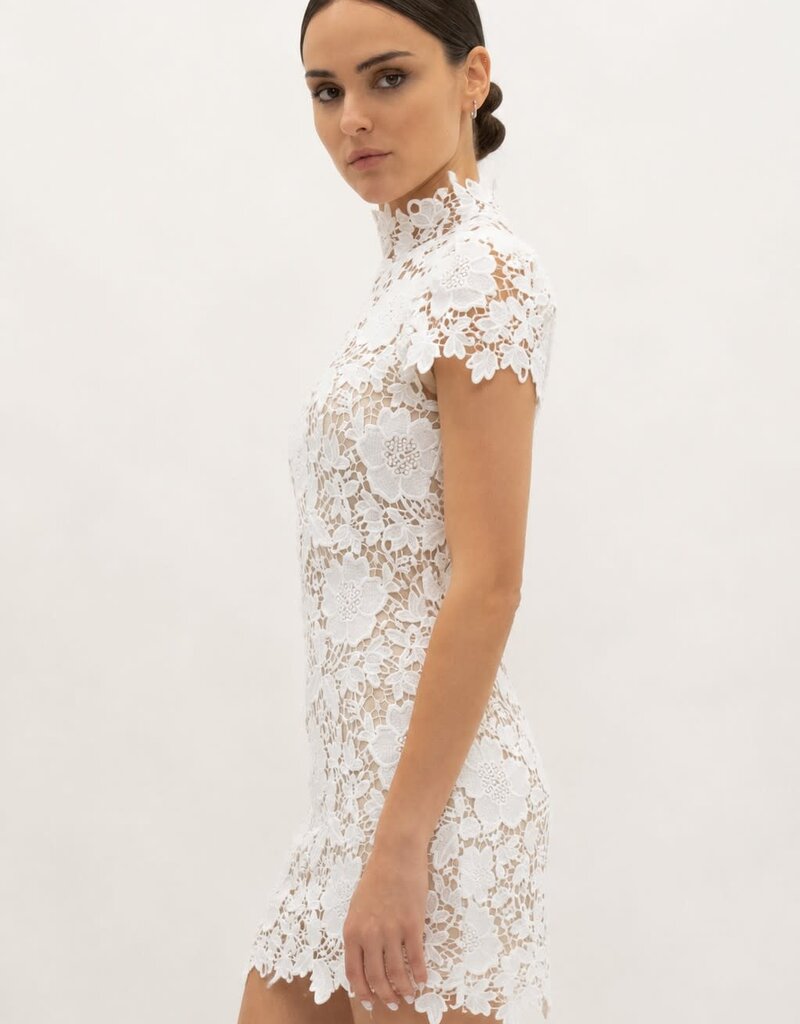 Frances Cap Sleeve Lace Mini Dress