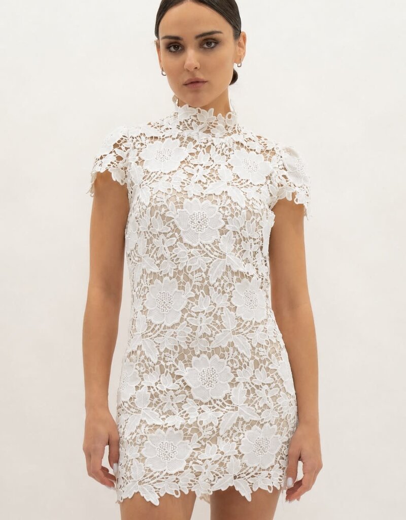 Frances Cap Sleeve Lace Mini Dress