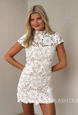 Frances Cap Sleeve Lace Mini Dress