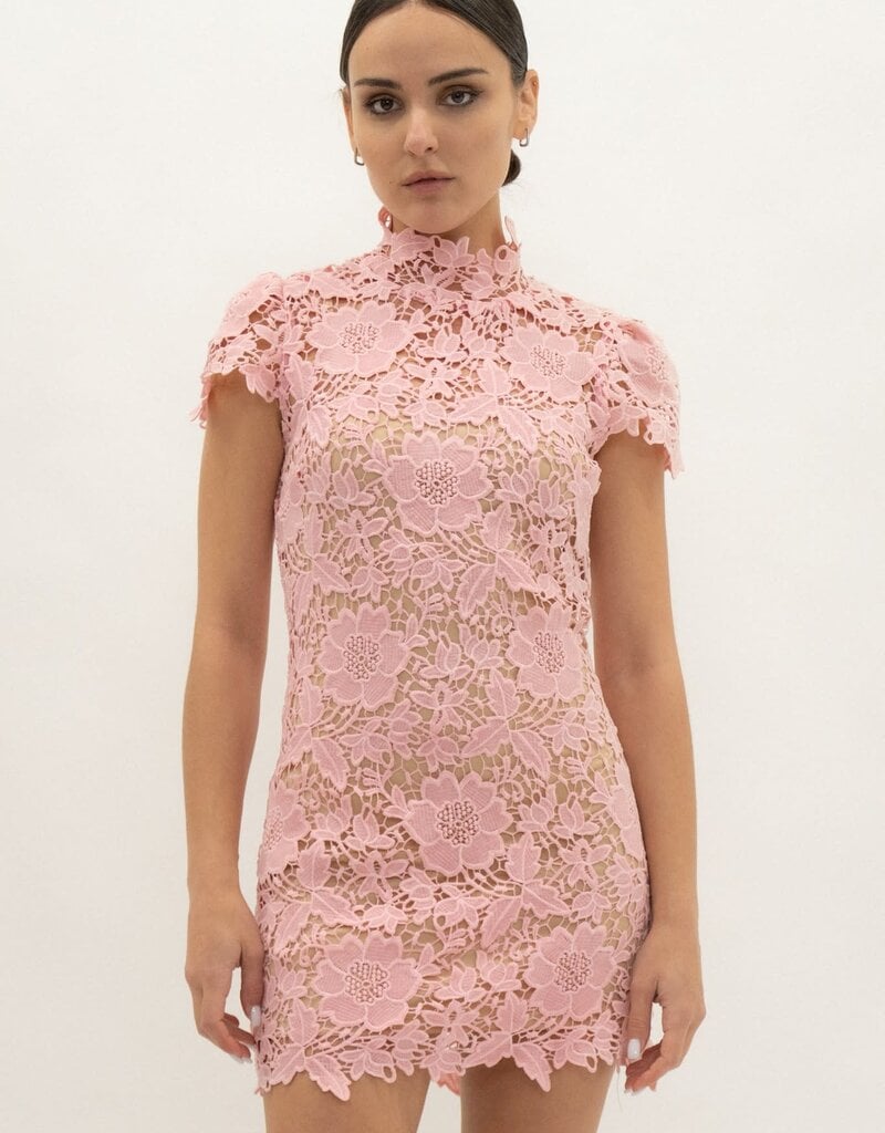 Frances Cap Sleeve Lace Mini Dress