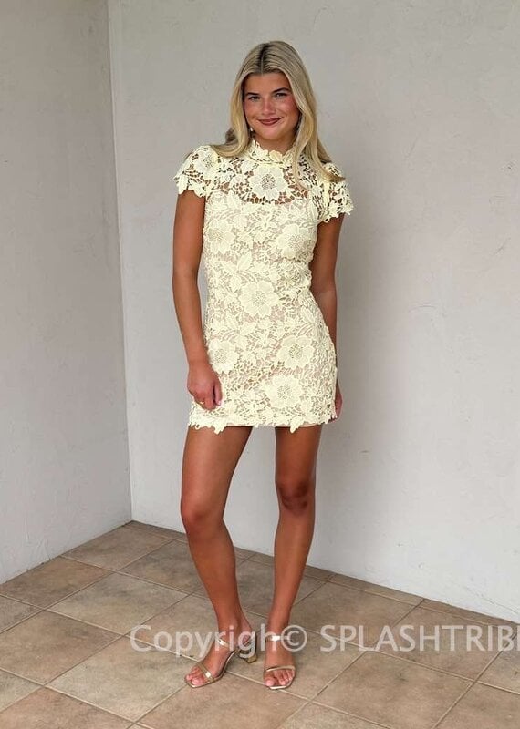 Frances Cap Sleeve Lace Mini Dress