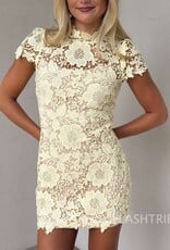 Frances Cap Sleeve Lace Mini Dress