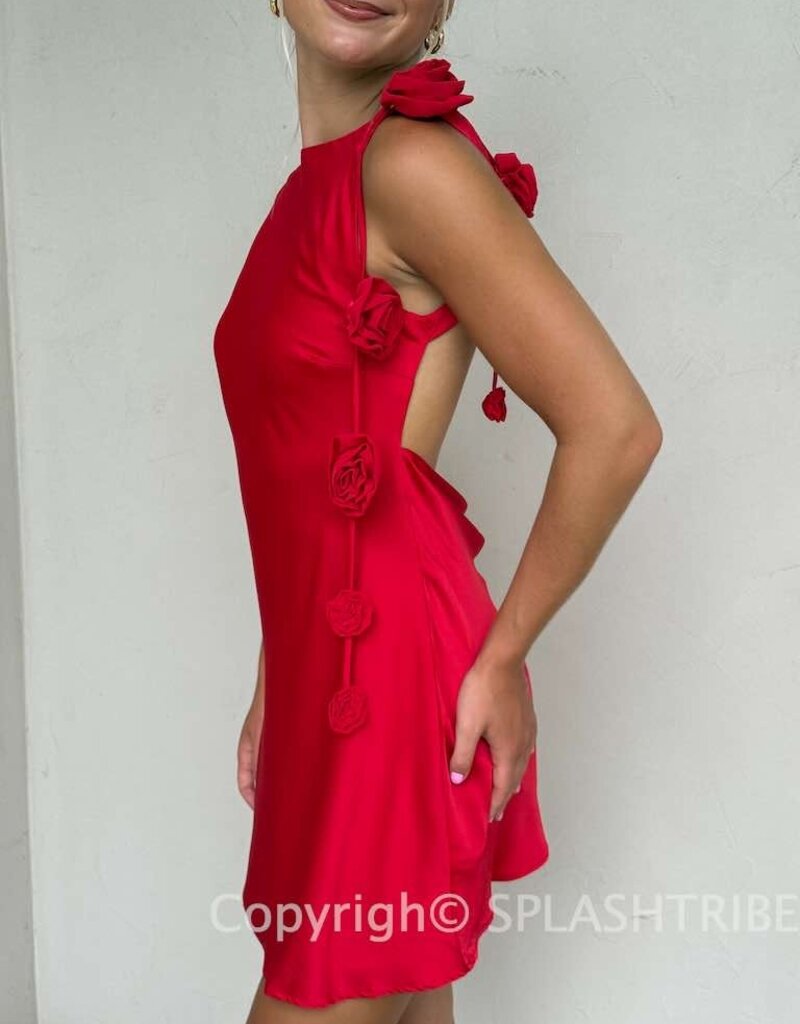 Lila 3D Rose Satin Detail Backless Mini Dress