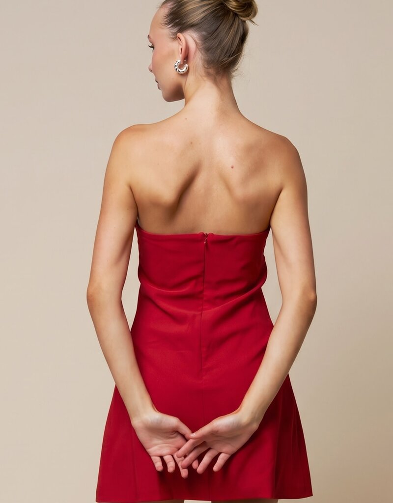 Kameryn Triangle V Neck Strapless Mini Dress