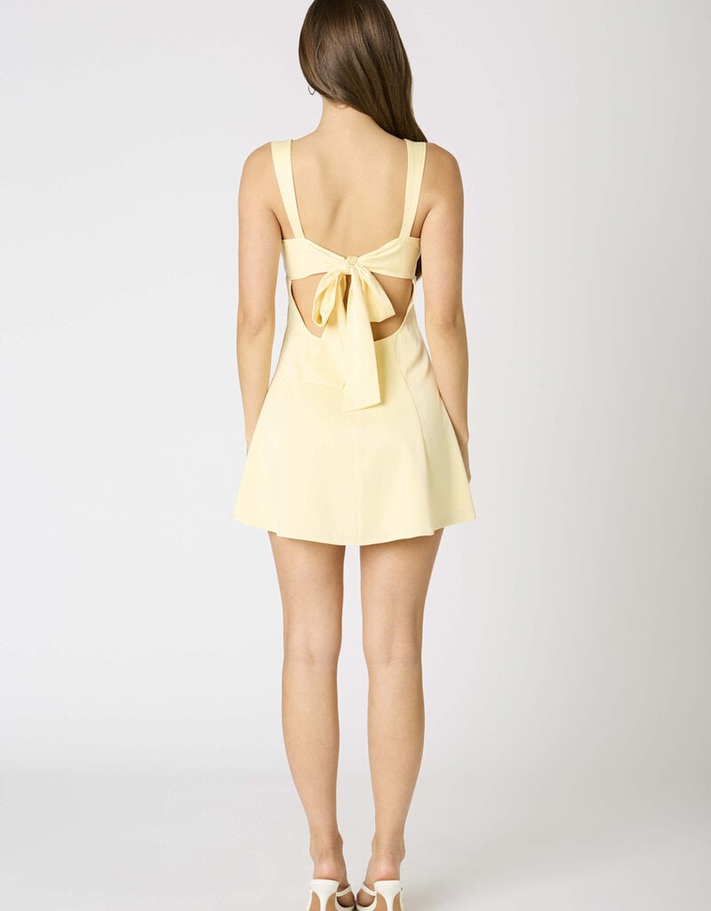 Delia Satin Tie Back Mini Dress