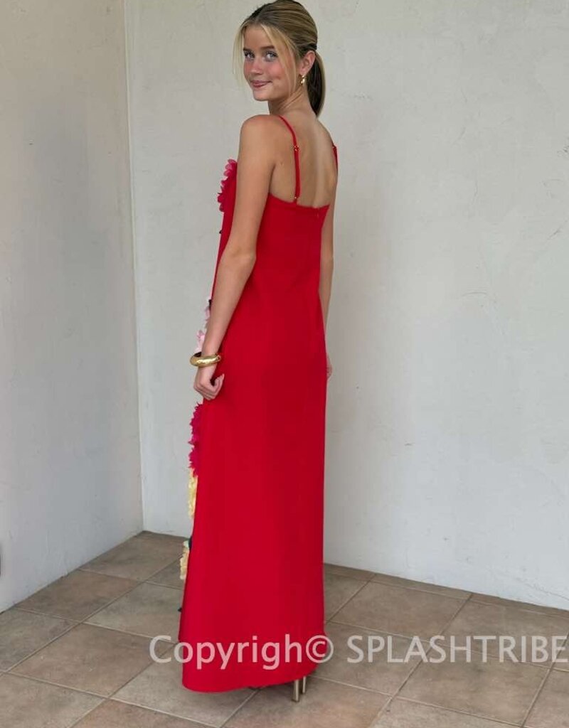 Elliatt Buttercup Embroidered Maxi Dress