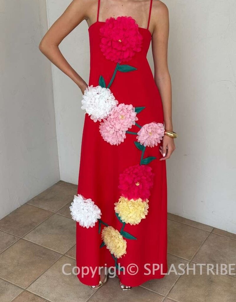 Elliatt Buttercup Embroidered Maxi Dress