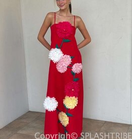 Elliatt Buttercup Embroidered Maxi Dress