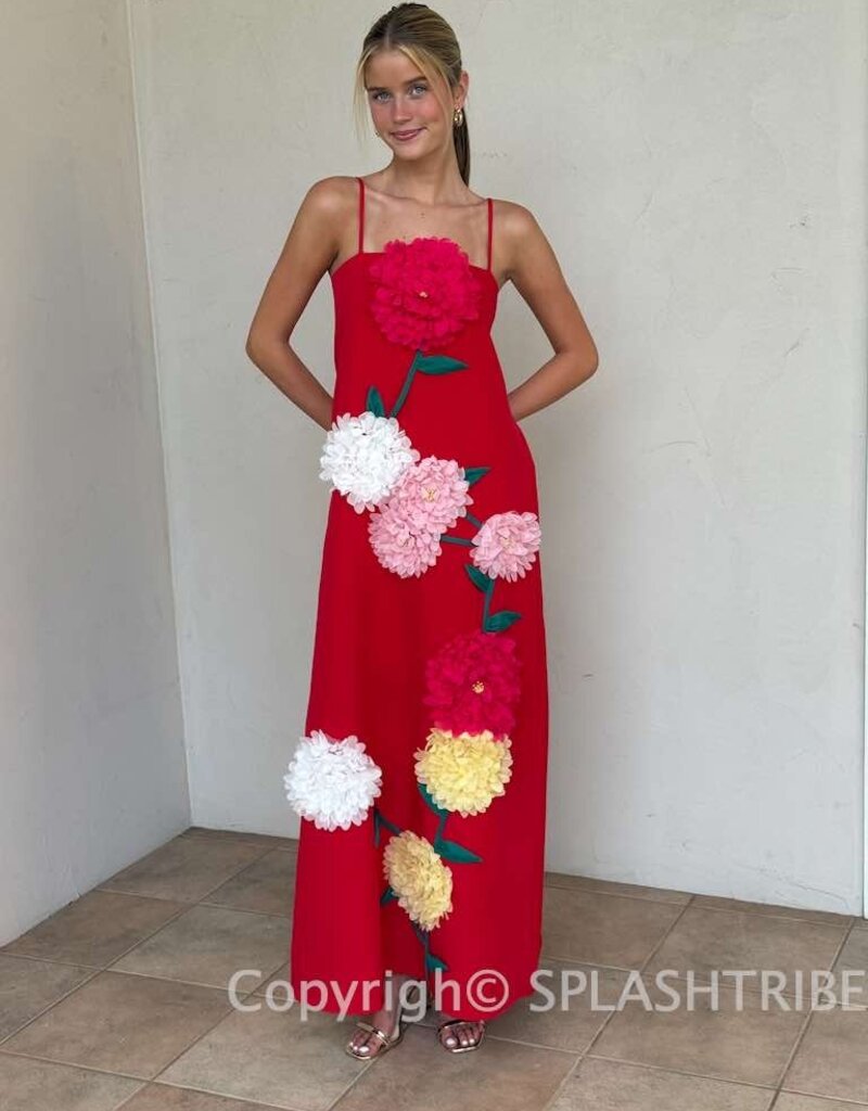 Elliatt Buttercup Embroidered Maxi Dress