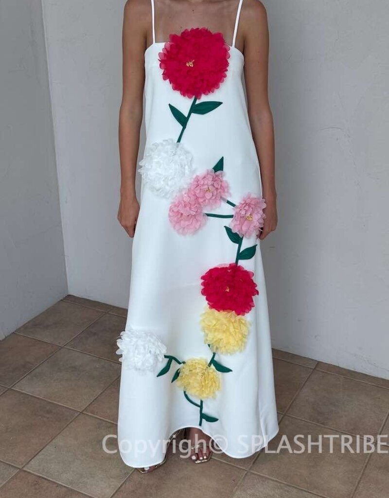Elliatt Buttercup Embroidered Maxi Dress