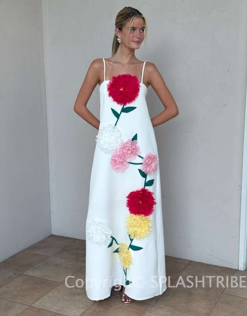 Elliatt Buttercup Embroidered Maxi Dress