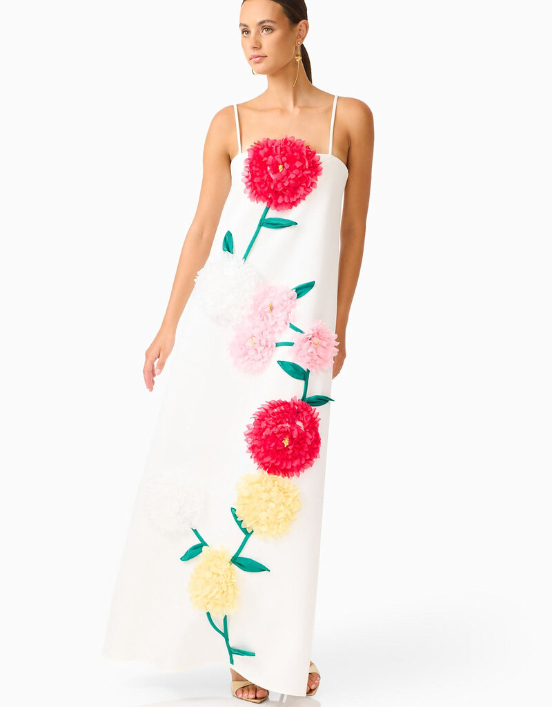 Elliatt Buttercup Embroidered Maxi Dress