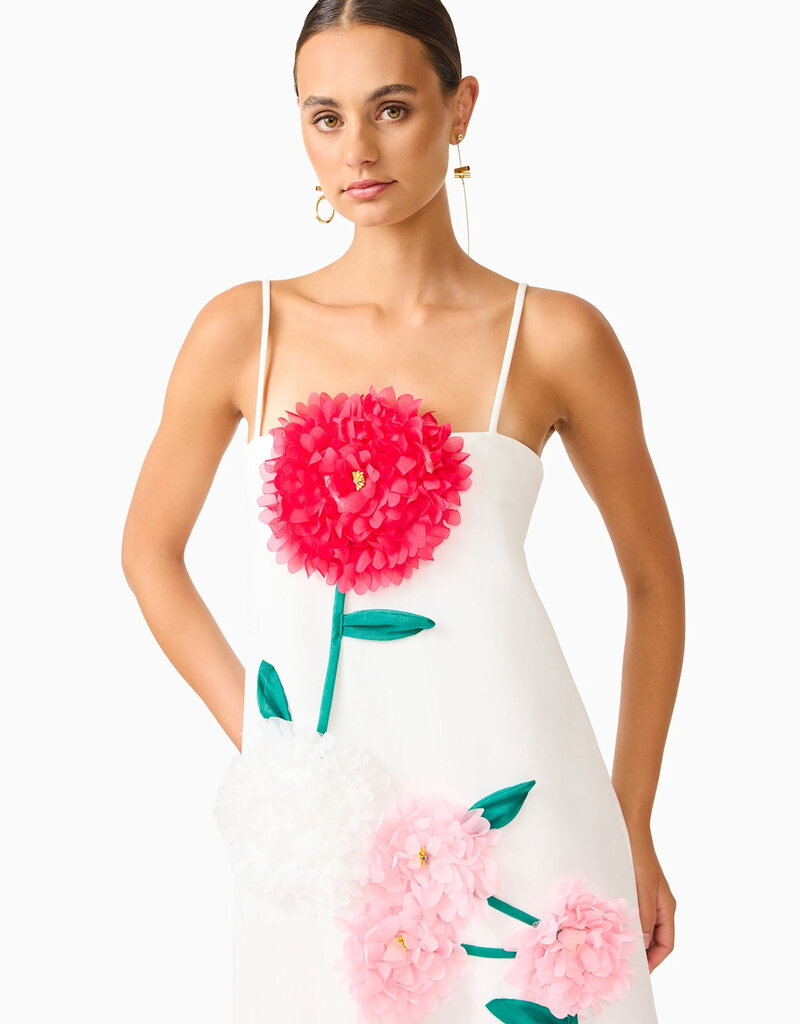 Elliatt Buttercup Embroidered Maxi Dress