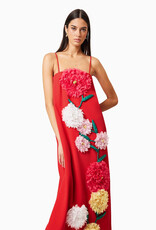 Elliatt Buttercup Embroidered Maxi Dress