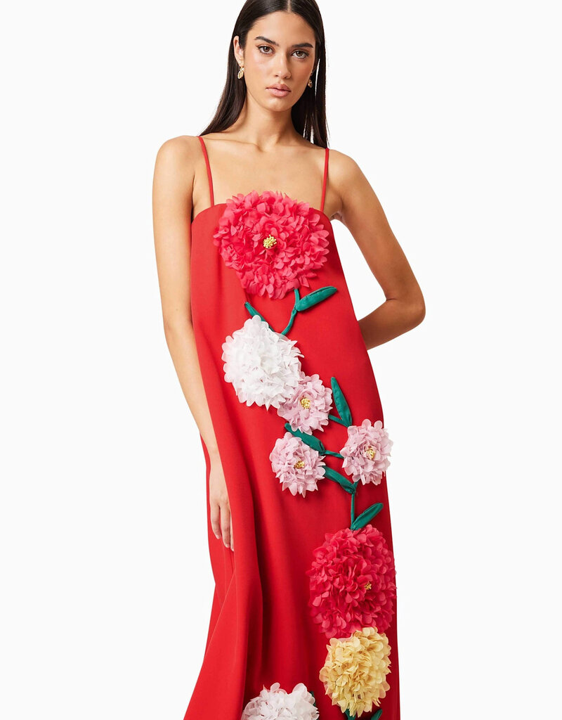 Elliatt Buttercup Embroidered Maxi Dress