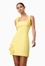 Elliatt Trompe 3D FLoral Mini Dress