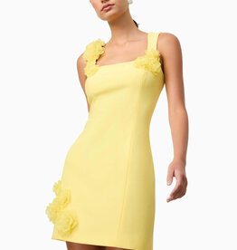 Elliatt Trompe 3D FLoral Mini Dress