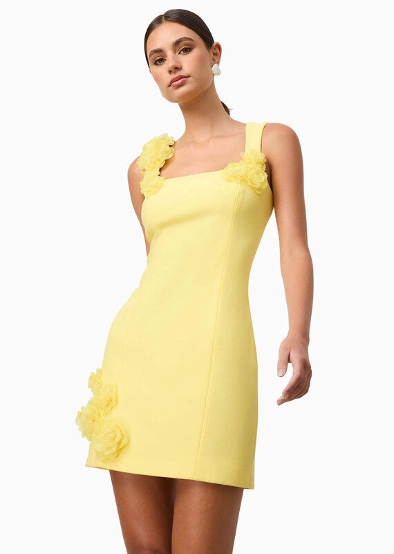 Elliatt Trompe 3D FLoral Mini Dress
