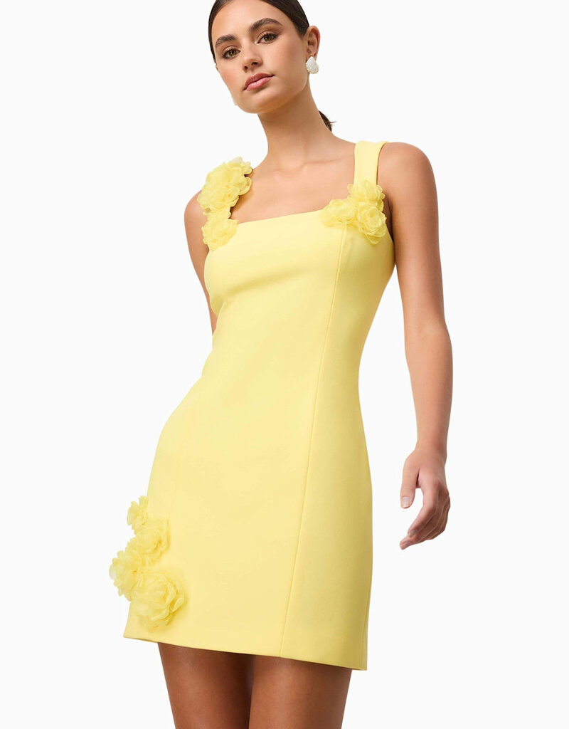 Elliatt Trompe 3D FLoral Mini Dress