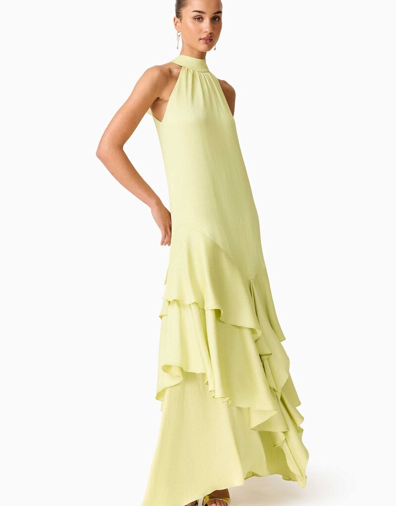 Elliatt Varella Halter Gown Maxi Dress