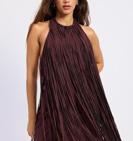 Kacey Faux Suede Fringe Mini Dress