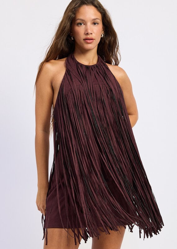 Kacey Faux Suede Fringe Mini Dress