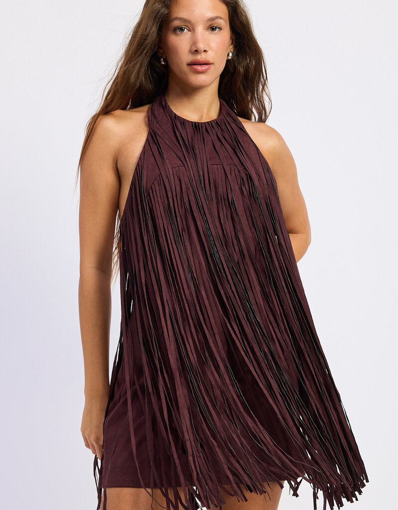 Kacey Faux Suede Fringe Mini Dress