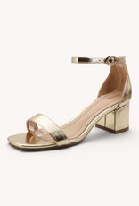 Nina Open Toe Ankle Strap Low Block Heels
