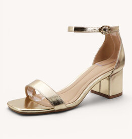 Nina Open Toe Ankle Strap Low Block Heels