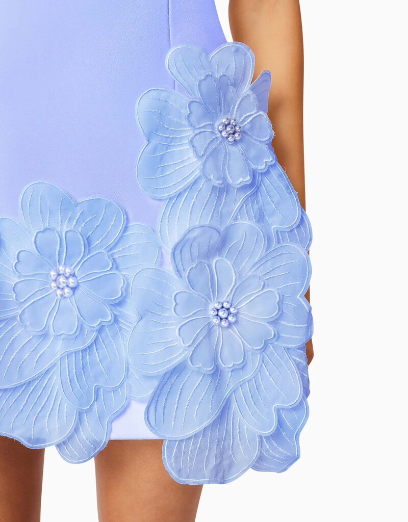 Elliatt Janelle 3D Floral Mini Dress