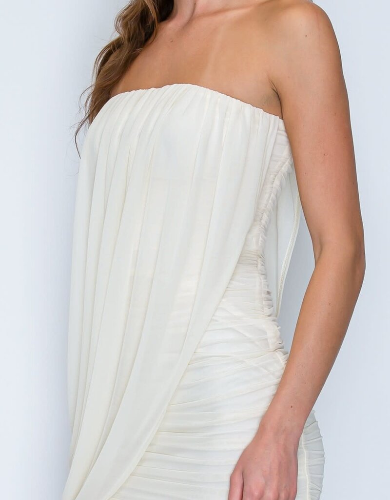 Strapless Side Drape Mesh Mini Dress