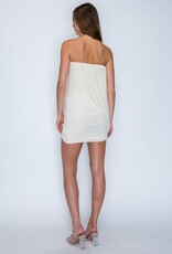 Strapless Side Drape Mesh Mini Dress