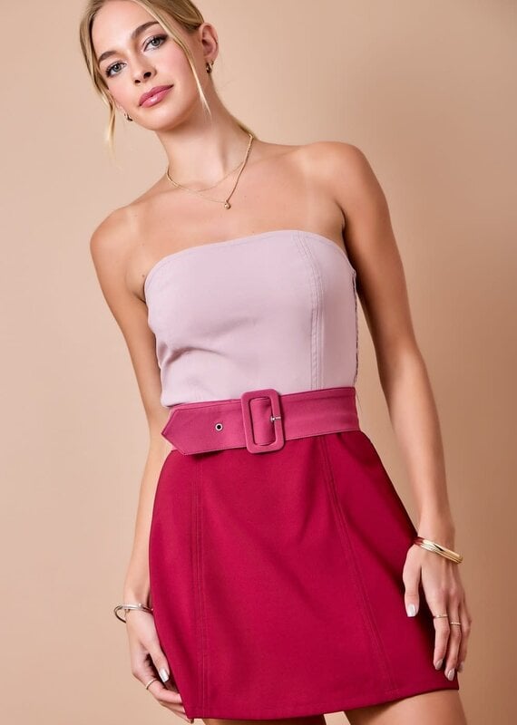 Lainey Color Block Belted Mini Dress