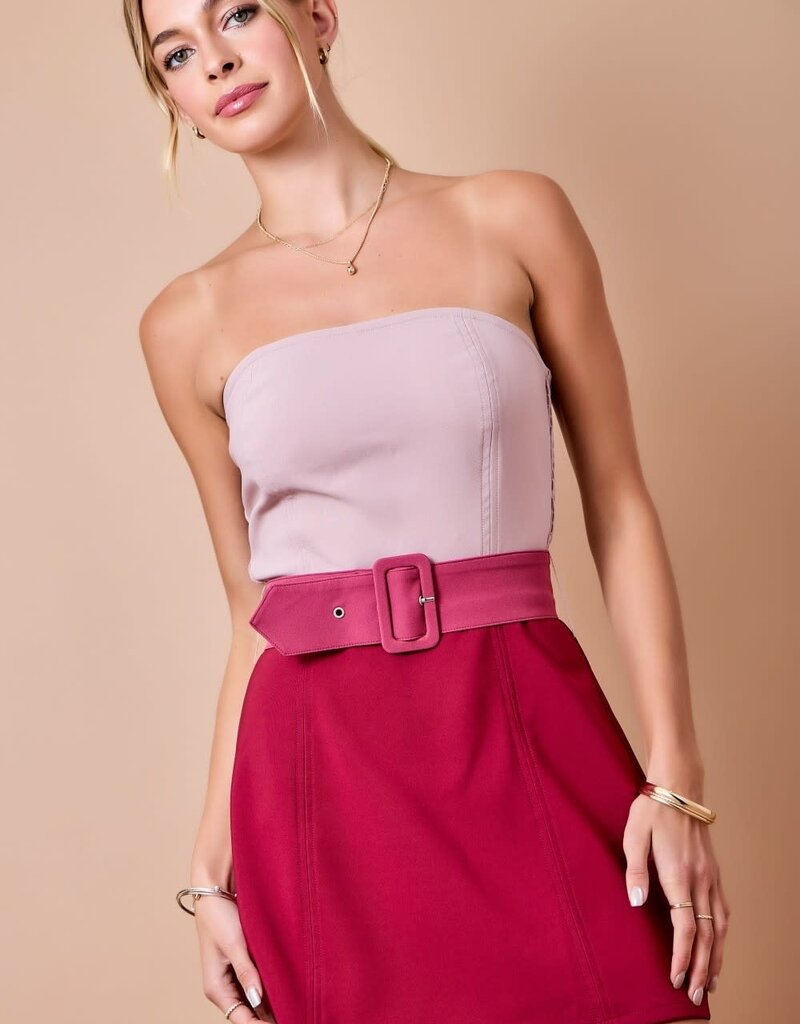 Lainey Color Block Belted Mini Dress