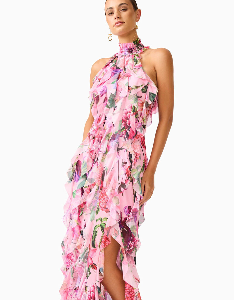 Elliatt Solene Floral Halter Maxi Dress