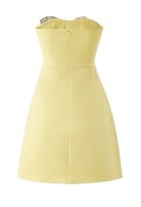 Gaia 3D Floral Embroidered Strapless Mini Dress
