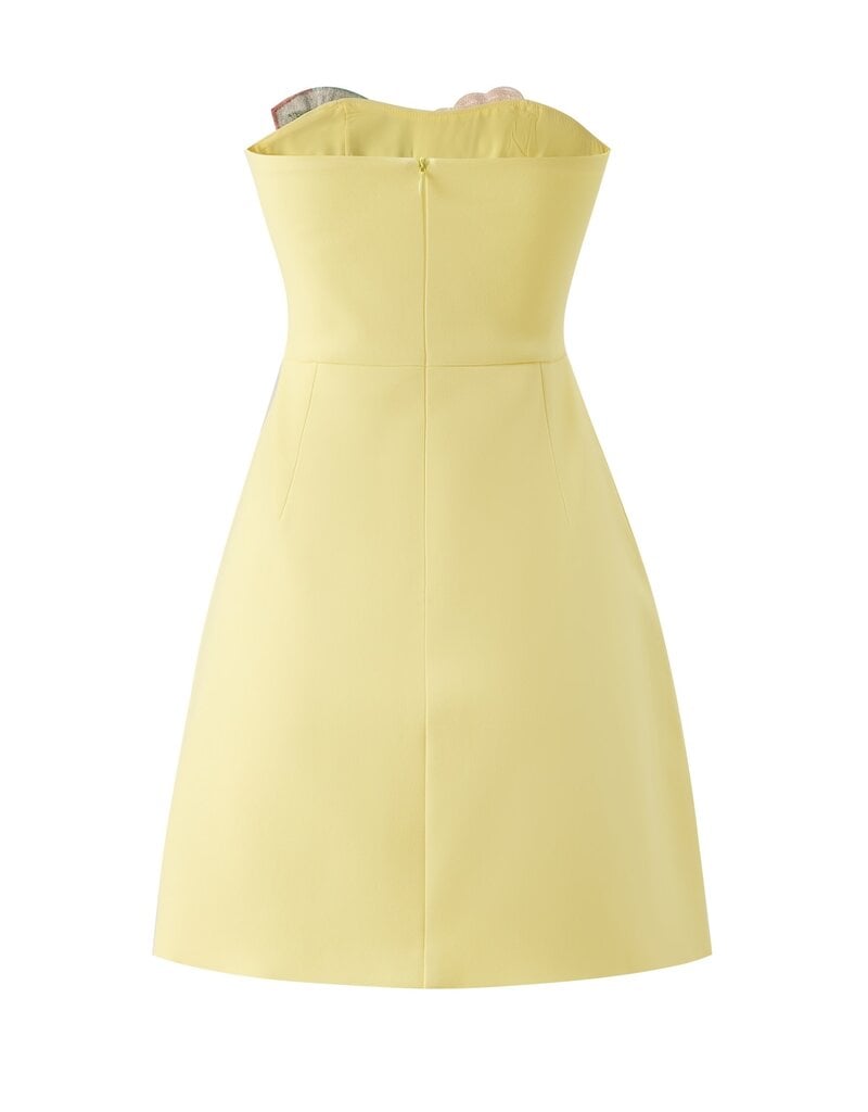 Gaia 3D Floral Embroidered Strapless Mini Dress