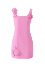 Nolyn Square Neck 3D Floral Mini Dress