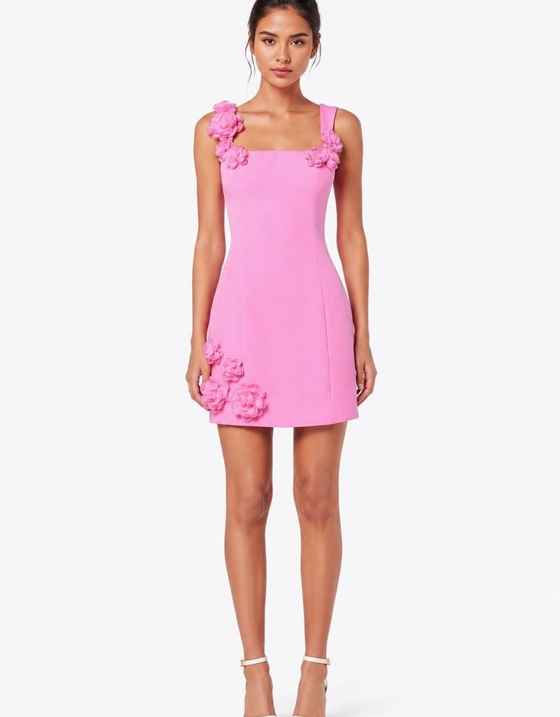Nolyn Square Neck 3D Floral Mini Dress