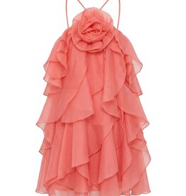 Rosette Ruffle Organza Mini Dress