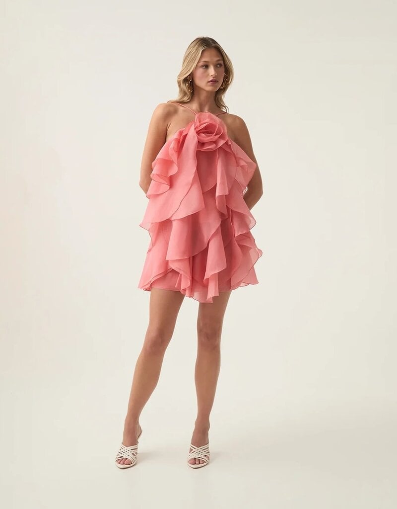 Rosette Ruffle Organza Mini Dress