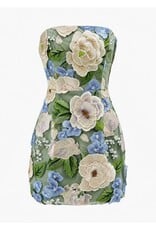 Imogen 3D Floral Embroidered Strapless Mini Dress