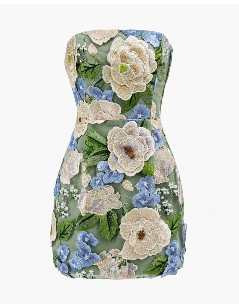 Imogen 3D Floral Embroidered Strapless Mini Dress