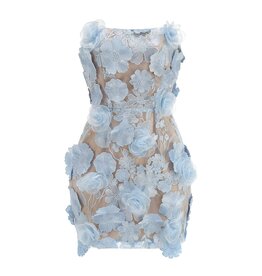 Ophelia 3D Floral Embroidered Strapless Mini Dress