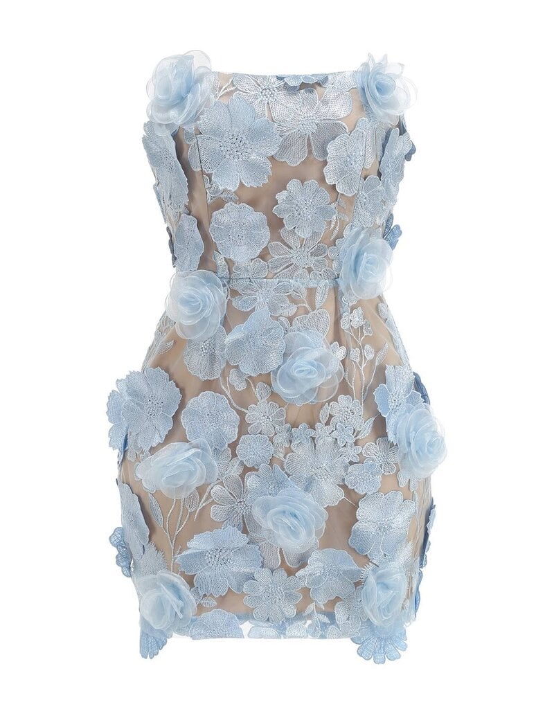 Ophelia 3D Floral Embroidered Strapless Mini Dress