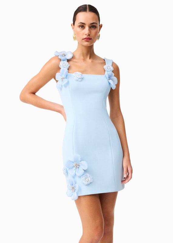 Elliatt Chantelle 3D Floral Mini Dress