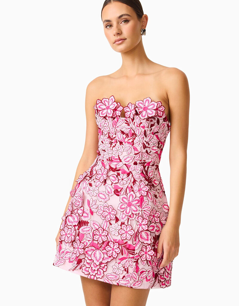 Elliatt Roseate 3D Floral Lace Strapless Mini Dress