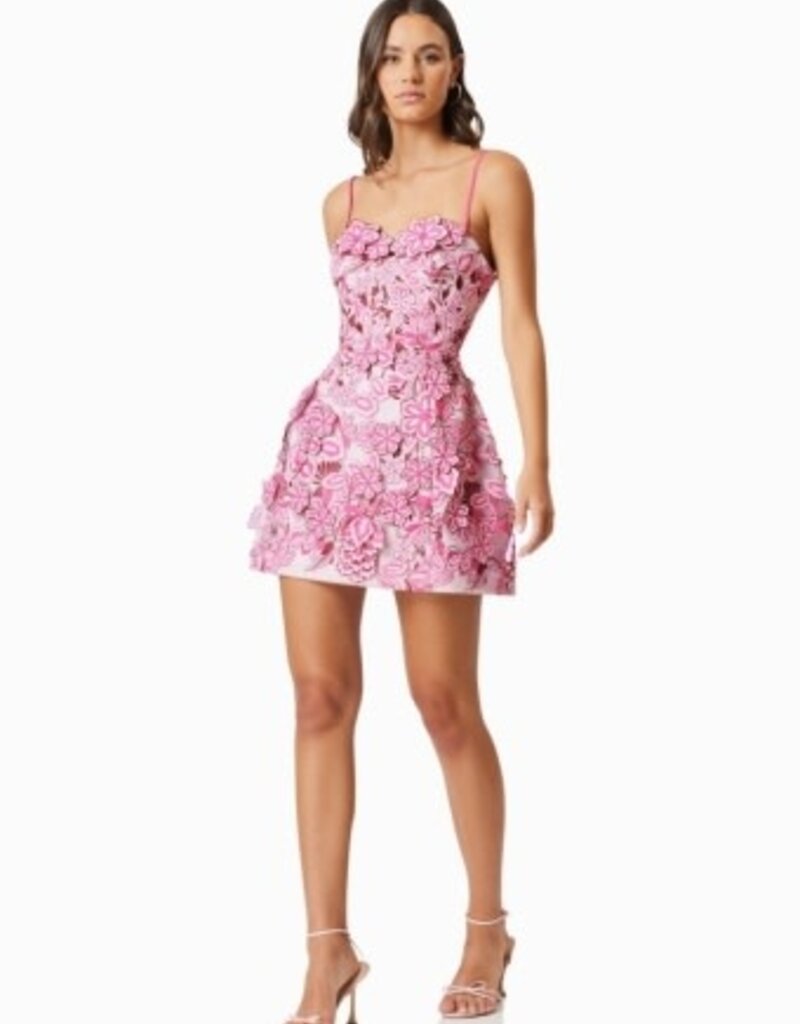 Elliatt Roseate 3D Floral Lace Strapless Mini Dress