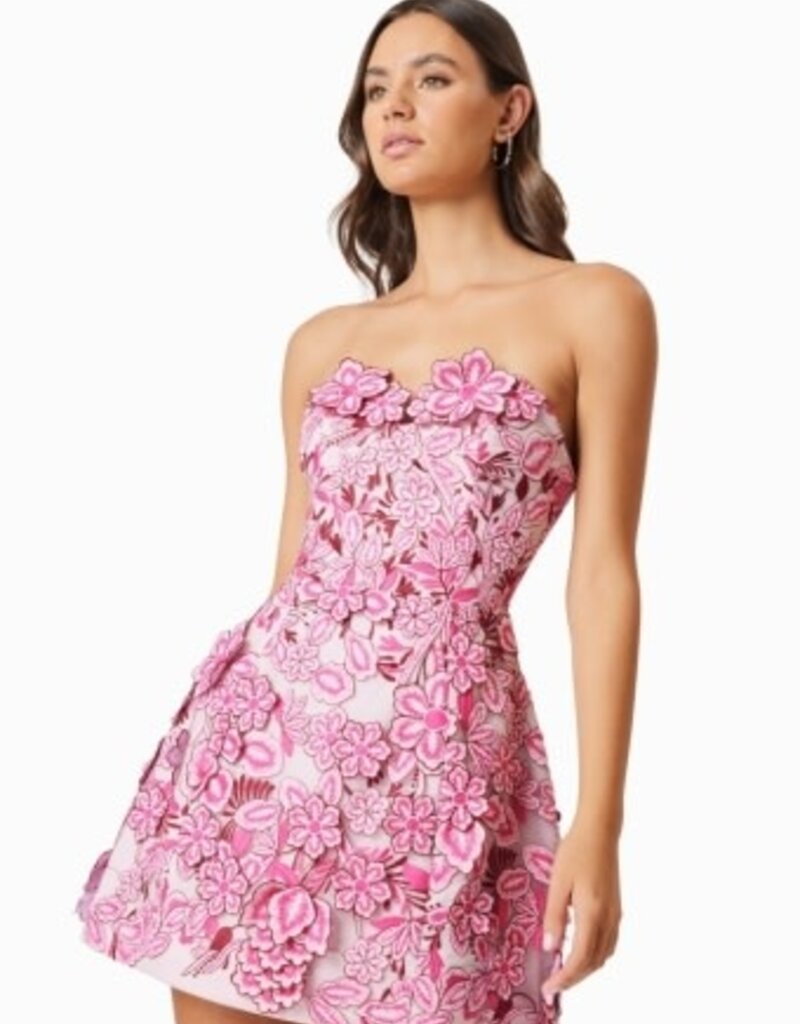 Elliatt Roseate 3D Floral Lace Strapless Mini Dress