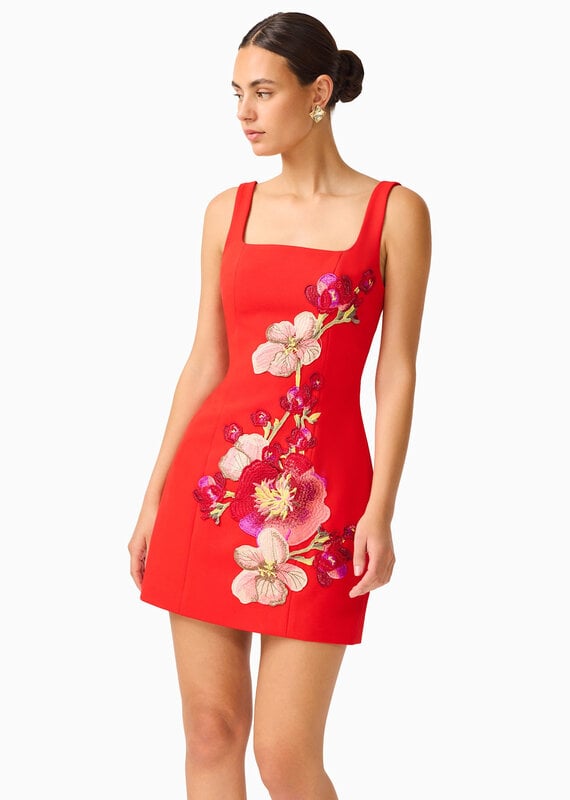 Elliatt Fleurisca Embroidered Party Mini Dress